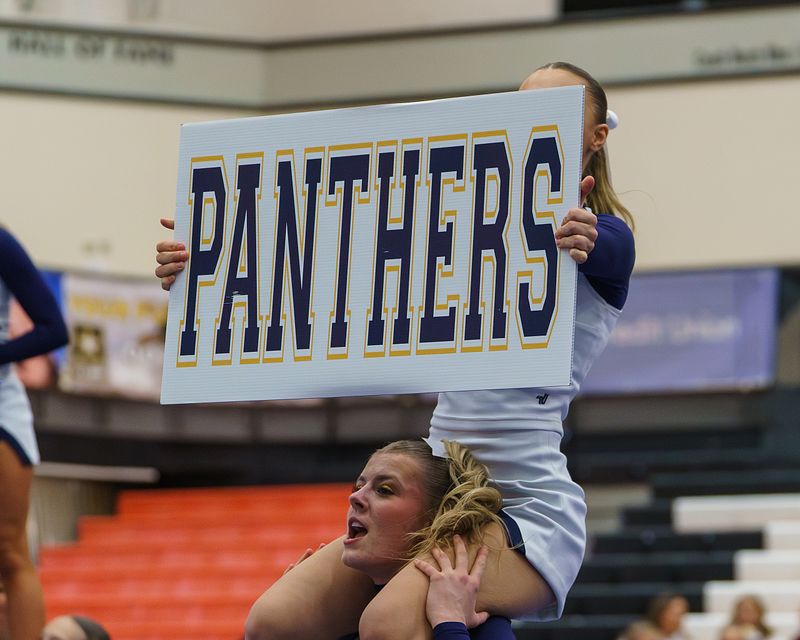 Mead Panther Cheer - 2024-2025