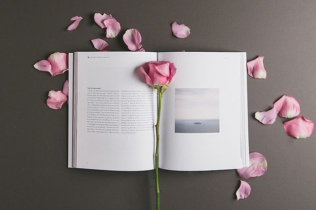 Fotos Estéticas - 10 Consejos de Expertos
