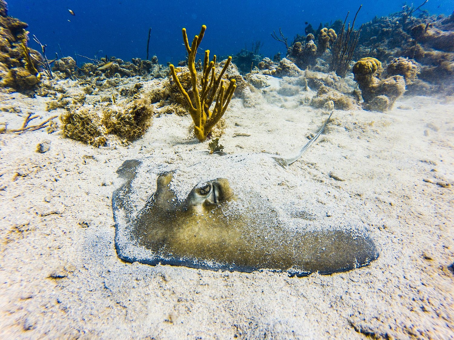 USVI.Photos