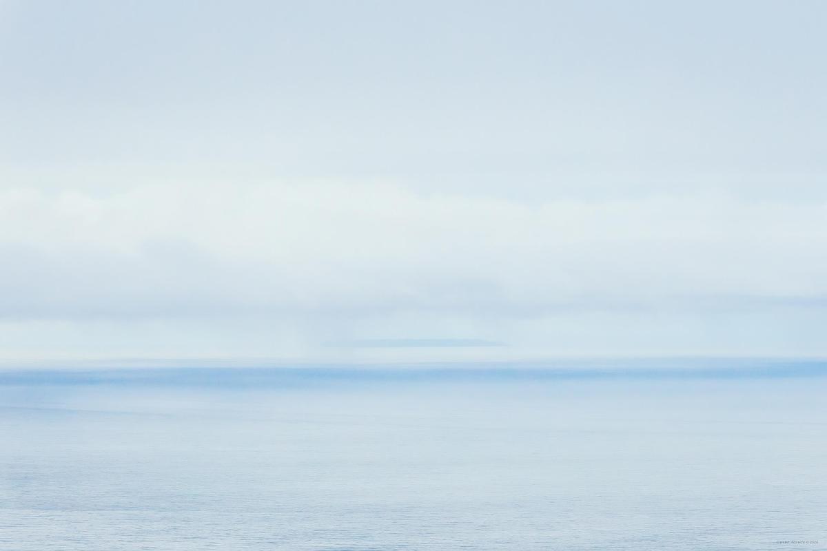 veiling, pacific ocean, 2024