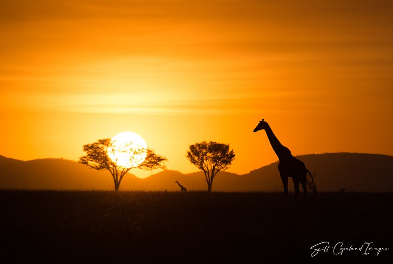 Africa