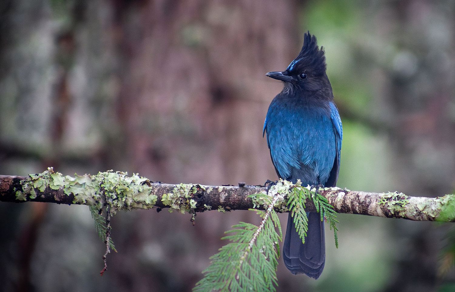 Noah Conzetti Photography