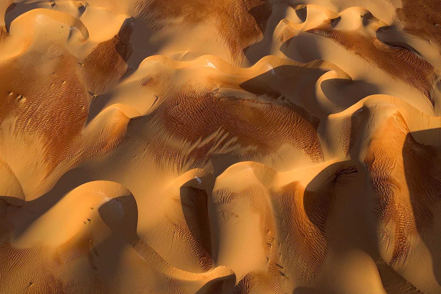 Rashed Alsumaiti's offical website