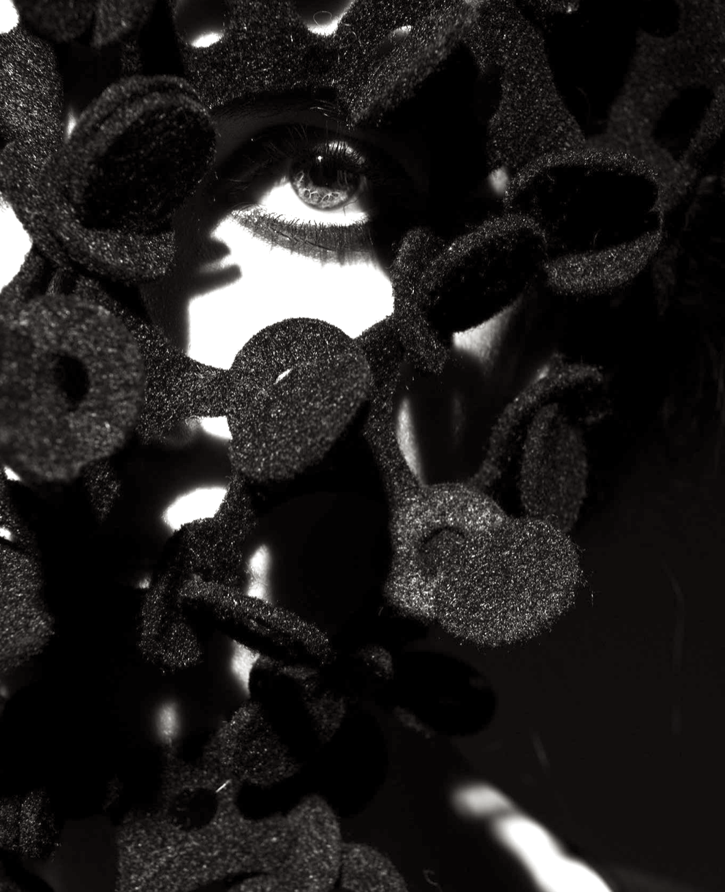 VINCENT LEE PHOTOGRAPHY