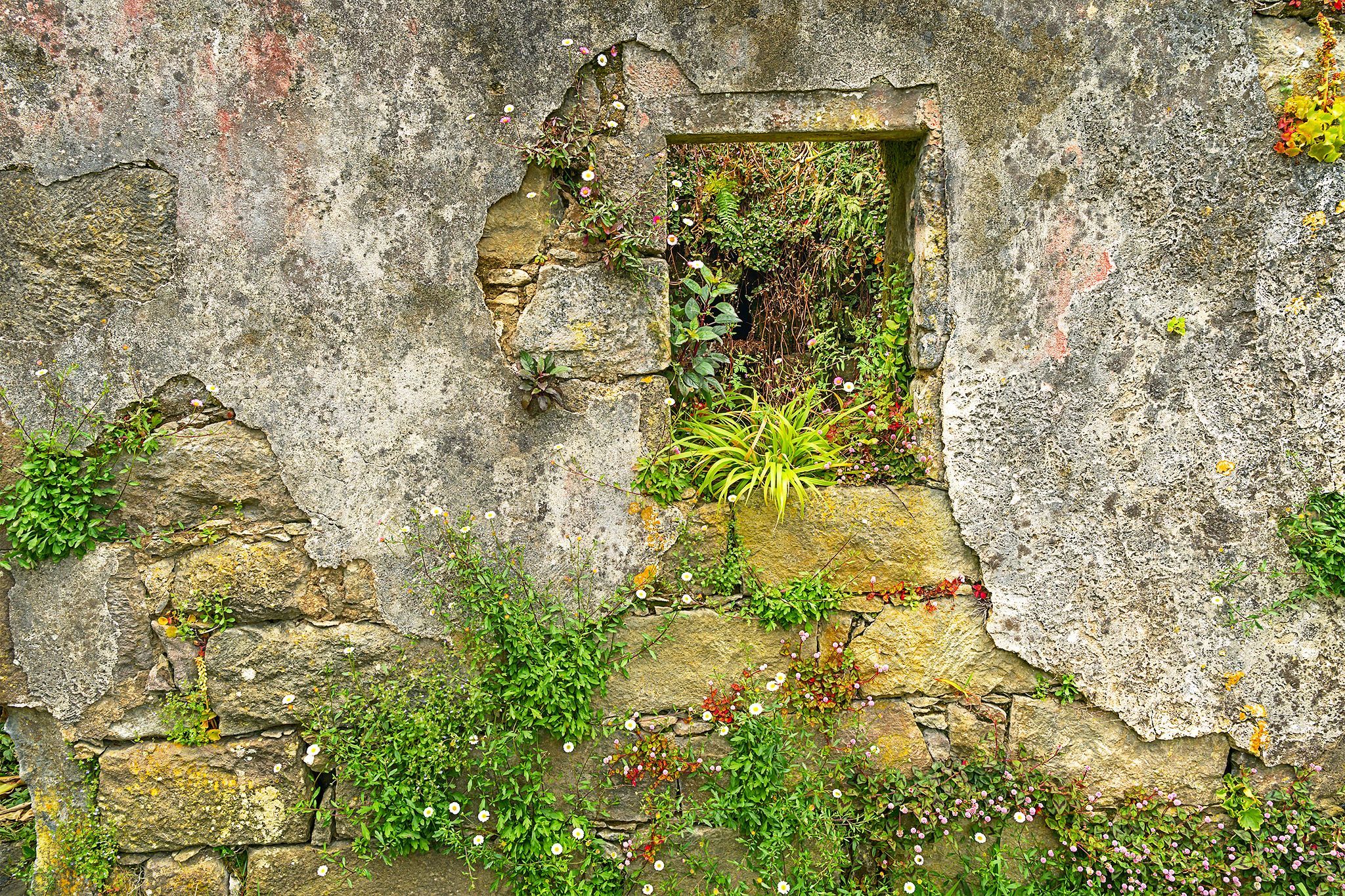 nanette kardaszeski fine photography