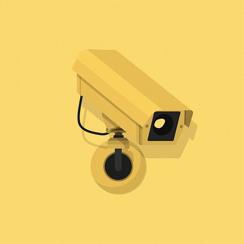 The Camera