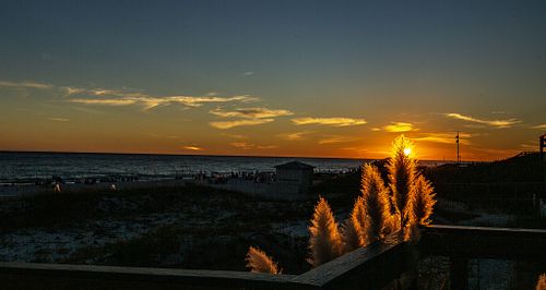 Sunset Wonder