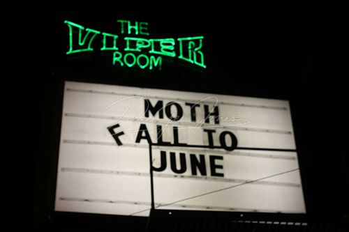 Moth