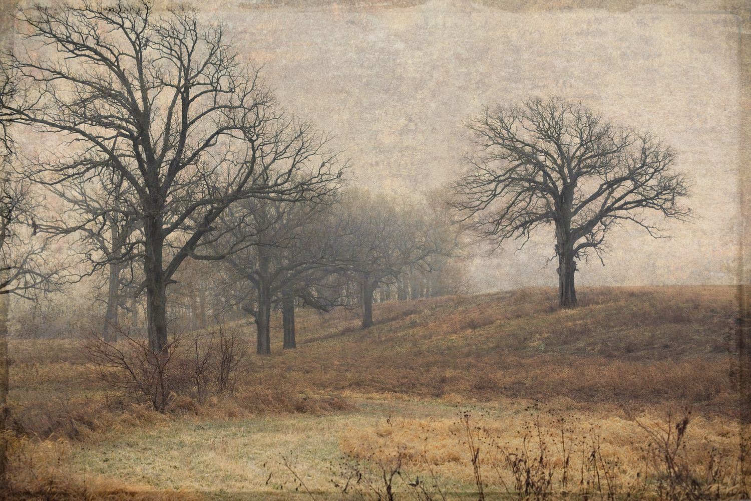 GC Sundra IMAGES, LLC