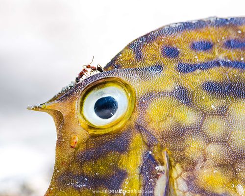 Ungewöhnliche Begegnung