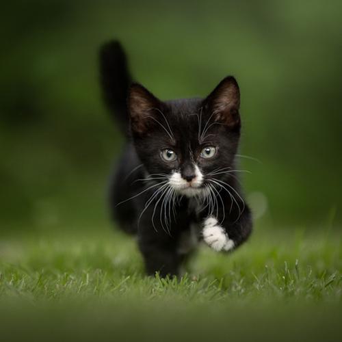 Hoe werkt een fotoshoot?