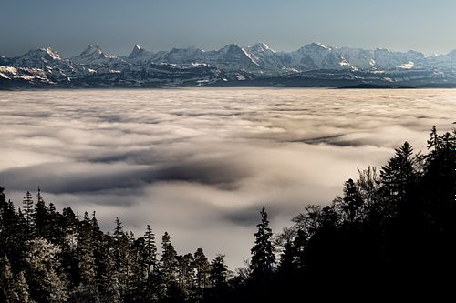 Der Nesselboden im Biecht