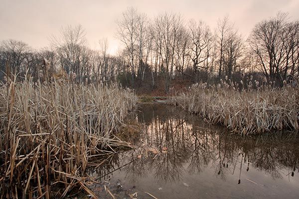 Jonathan Welch Media Arts