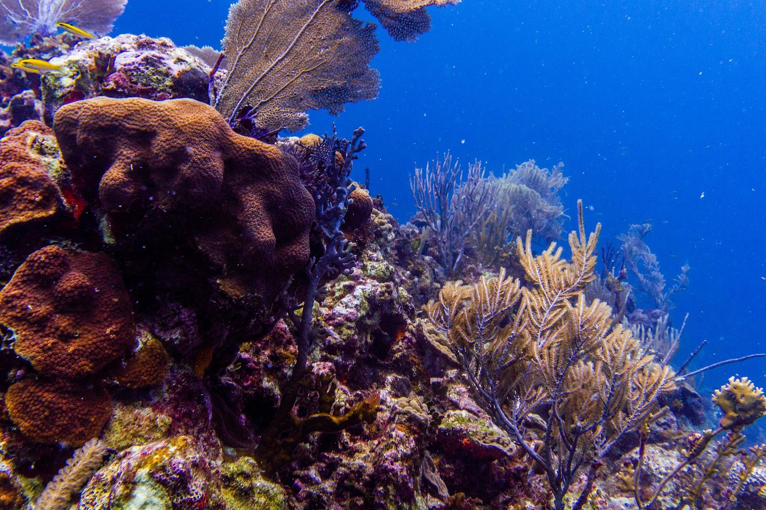 USVI.Photos