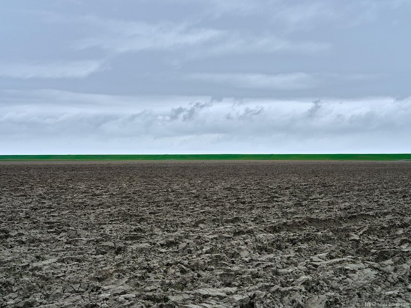 The Next Step (20 - 22 november 2026)