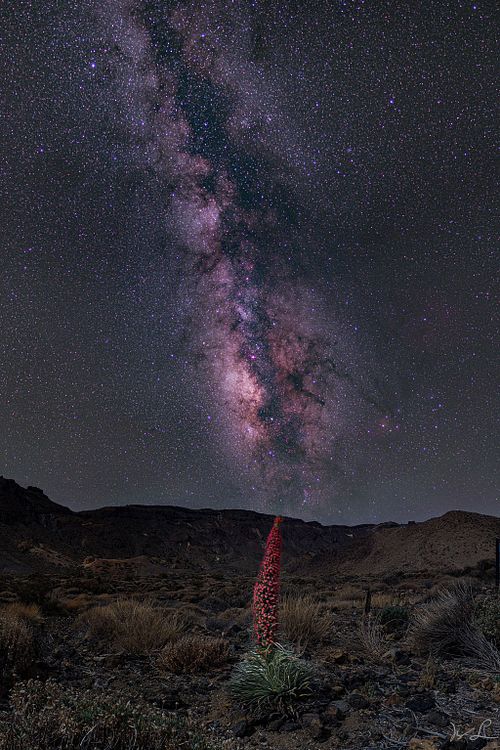 Galactic Night at Mount Teide