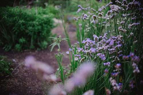 How did our parts come to be?