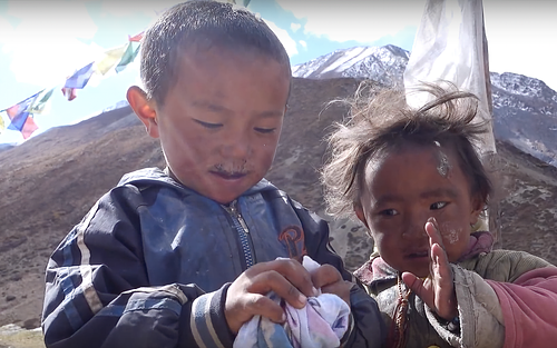 THEY EMBRACE ALL LIVING THING