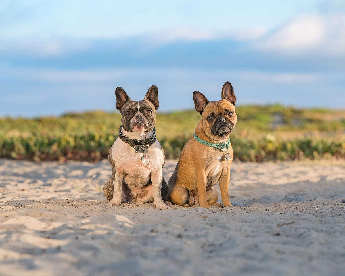 san diego vacation photographer