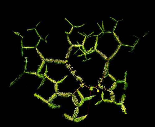 Branched