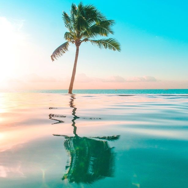 Trend Alert: Tropical Colours, Prints and Patterns