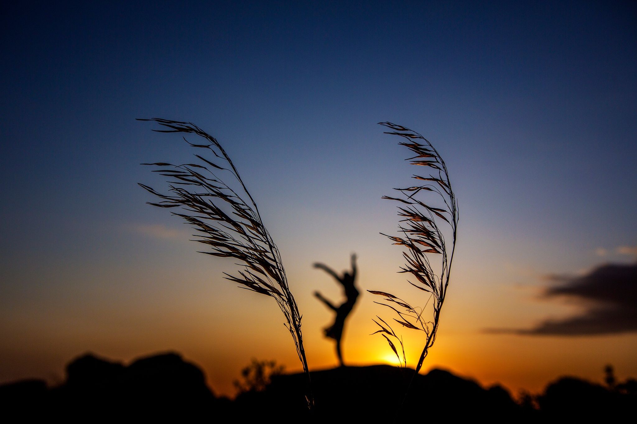 Cardeli Photography