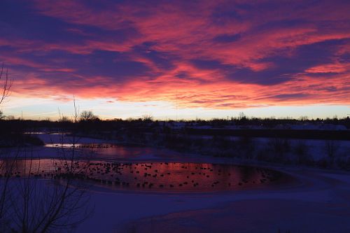 WOLFE PHOTOGRAPHY