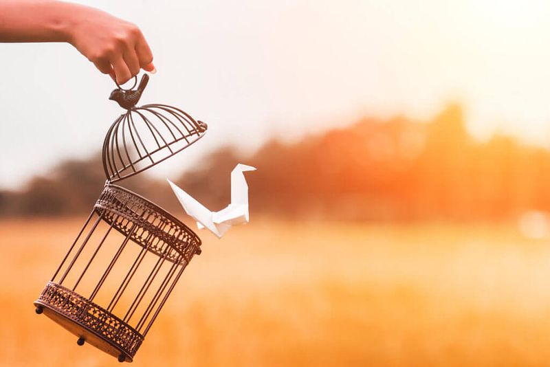 L&rsquo;Art Th&eacute;rapie, la cr&eacute;ation en marche : cr&eacute;er pour se recr&eacute;er