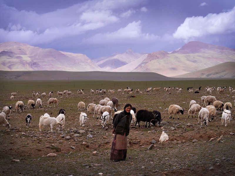 Digital Art Downloads