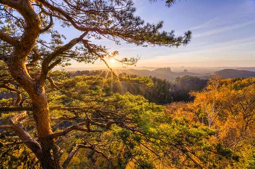 German Indian Summer