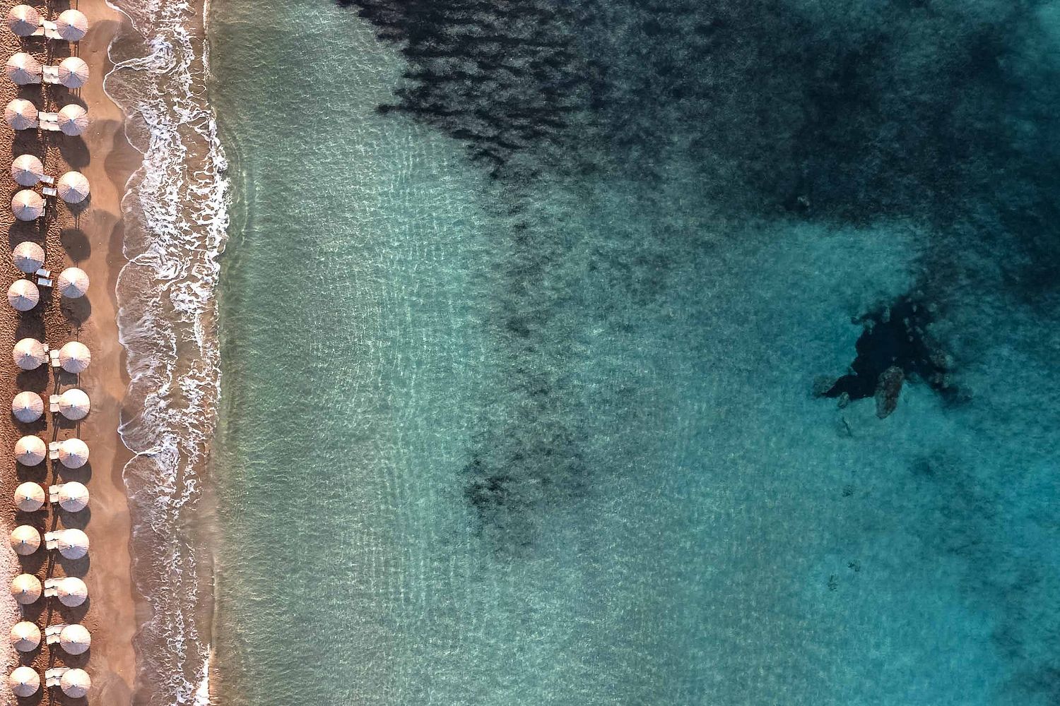 Elm Imagery Wedding Photography