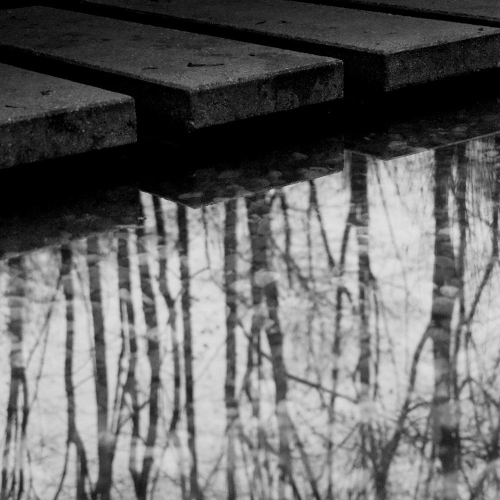 Czarno-biała fotografia autorstwa Michała Sumki ukazująca betonowe płyty mostka na tle odbicia drzew w tafli wody na Polach Mokotowskich w Warszawie. Minimalistyczna kompozycja o subtelnej grze świateł i cieni.