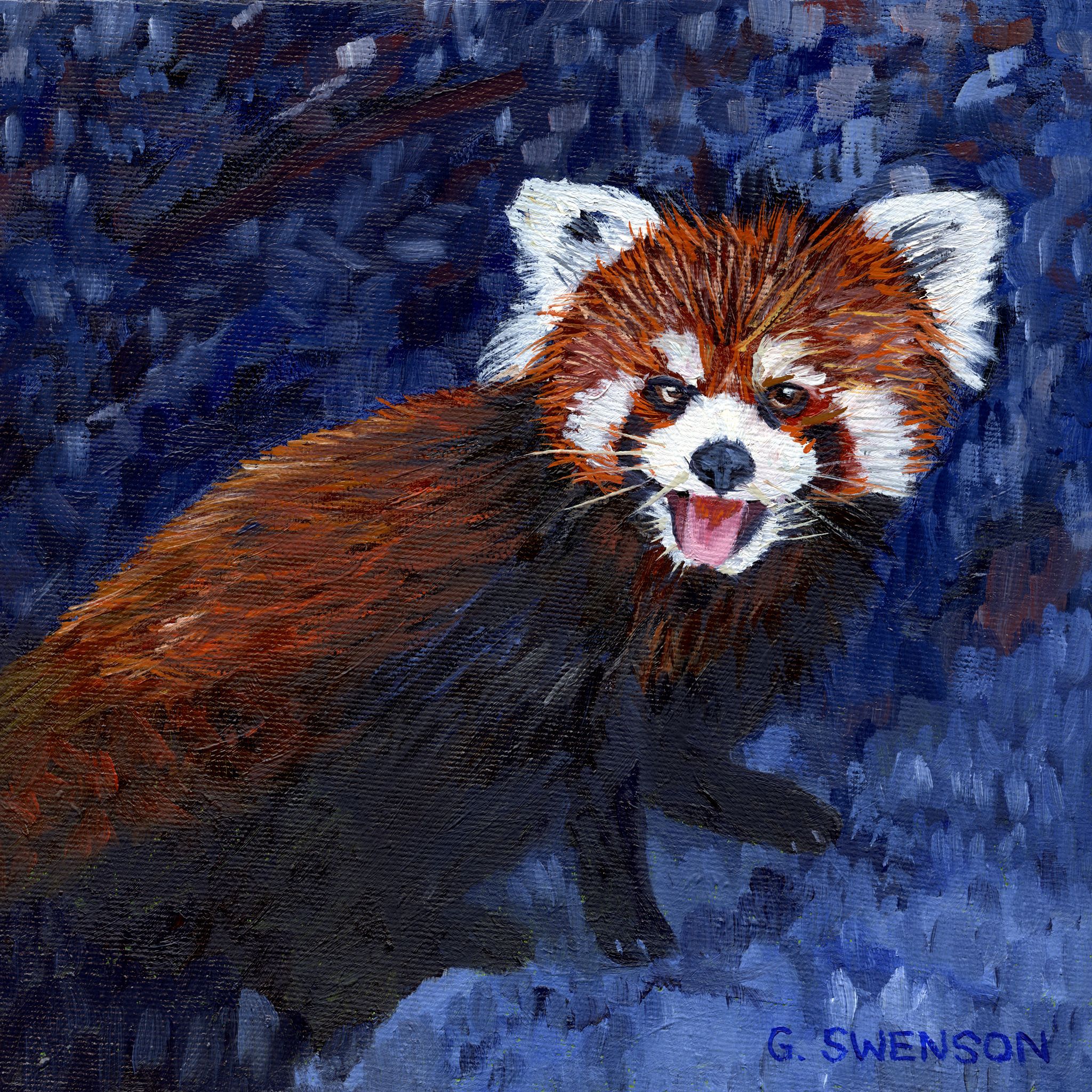 Red Panda