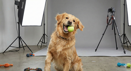 Deixe a t&eacute;cnica connosco e foque-se apenas nos mimos.