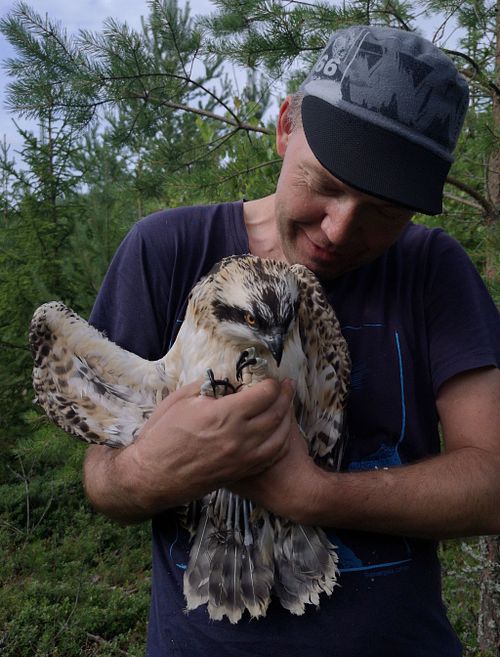 Trond Johansen &ndash; Naturfotograf og Fotograf i Sarpsborg, &Oslash;stfold, Norge | Natur, Landskap & Dyreliv