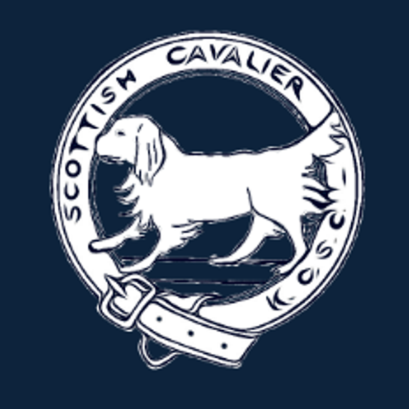 Scottish Cavalier Club Show Feb 2025