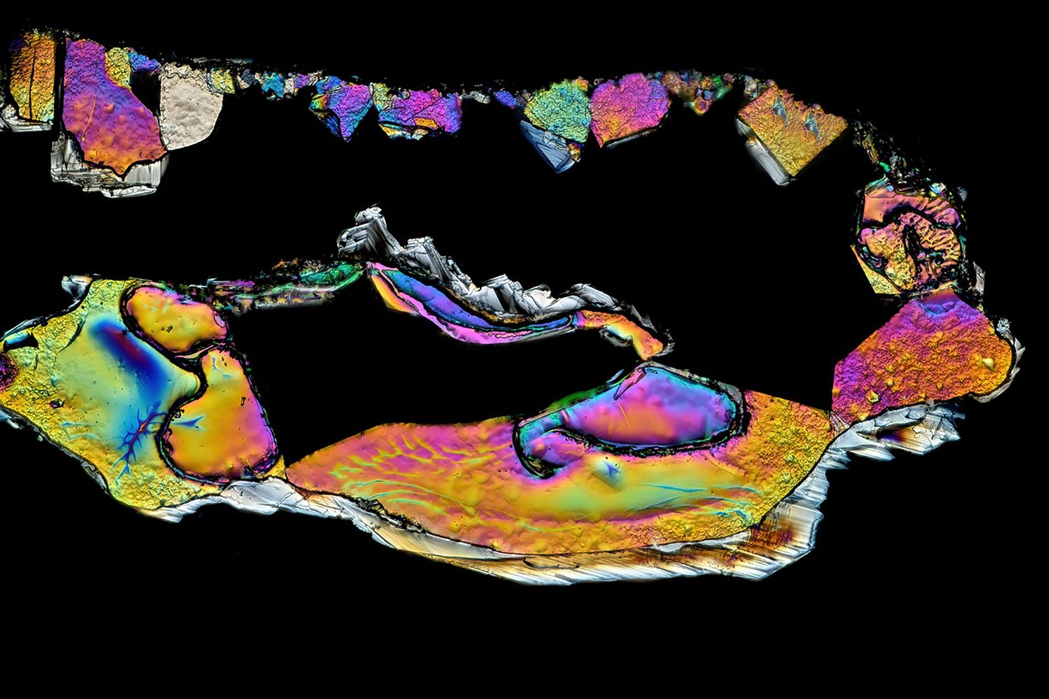 Rashed Alsumaiti's offical website