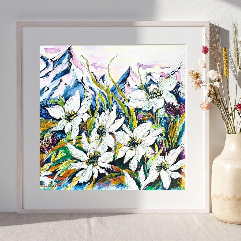 White Edelweiss Alpine Mountain Wild Flowers- Original Watercolour and Pen Illustration