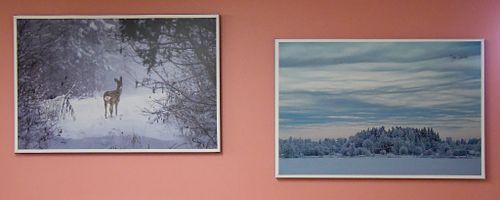 Telli l&otilde;uendipilt seinale