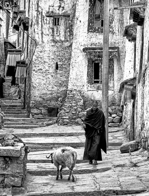 Monastero di Sera | Tibet | 2005