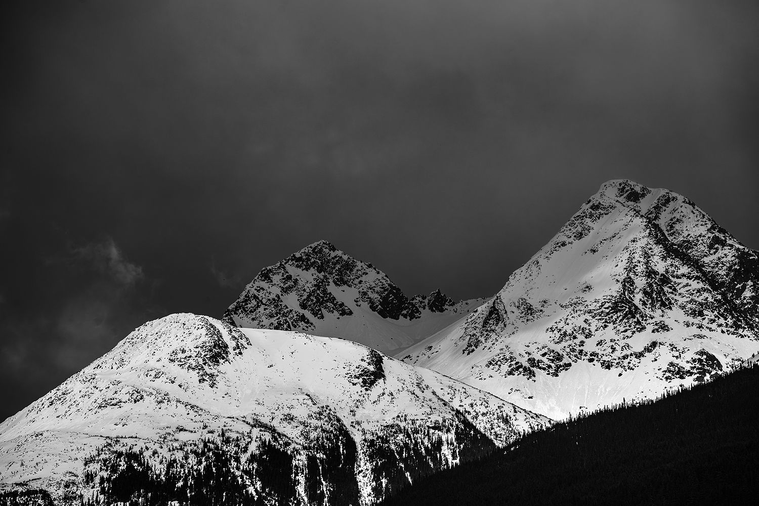 Eric Bloemers Photography