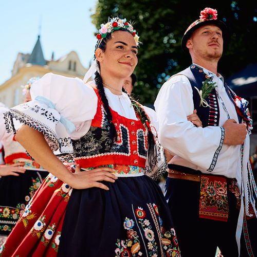 HUSOVICK&Eacute; HODY 2025