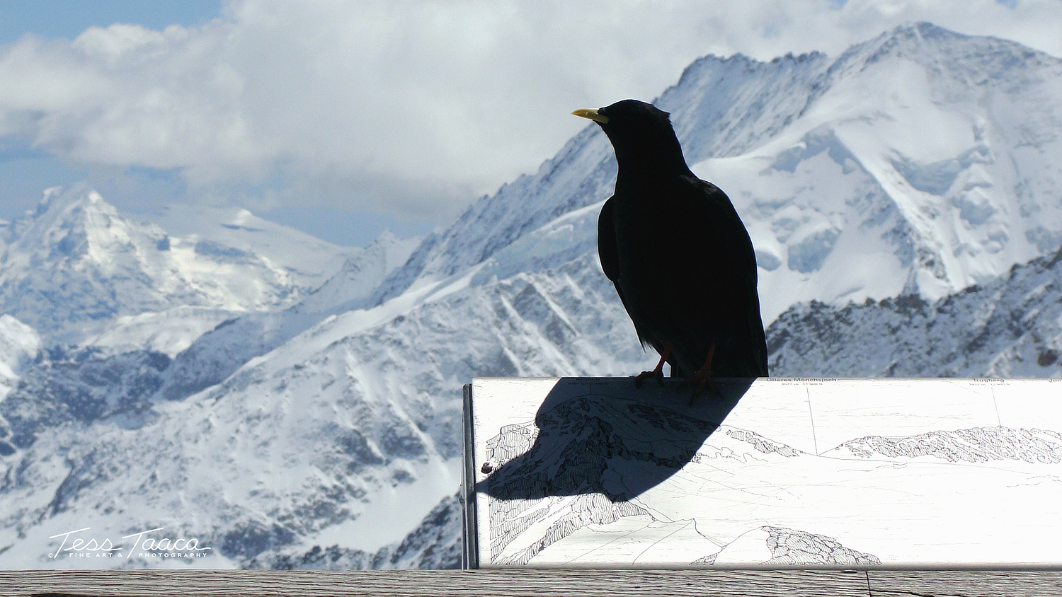 Artwork Of Tess Taaca