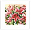 Pink Stargazer Lilies Original Watercolour Painting