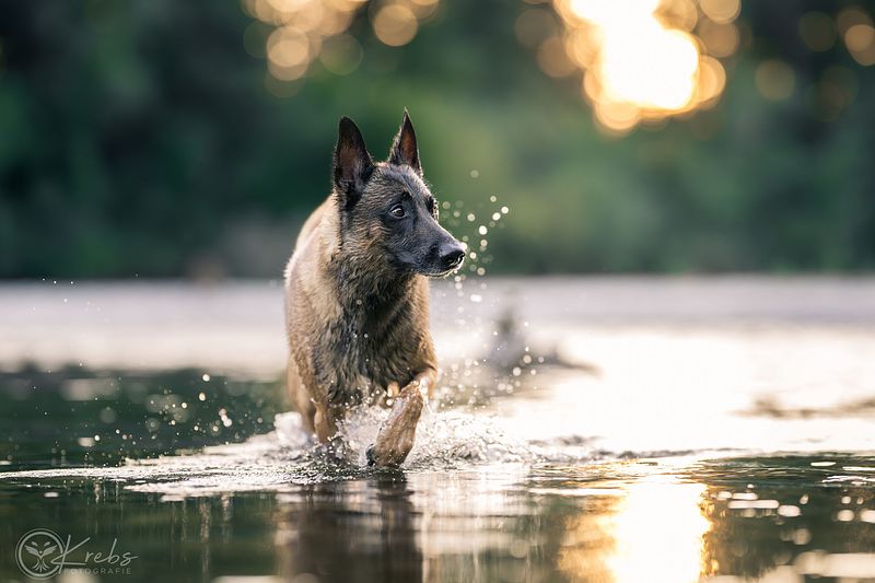 Studio Themen Shooting klein
