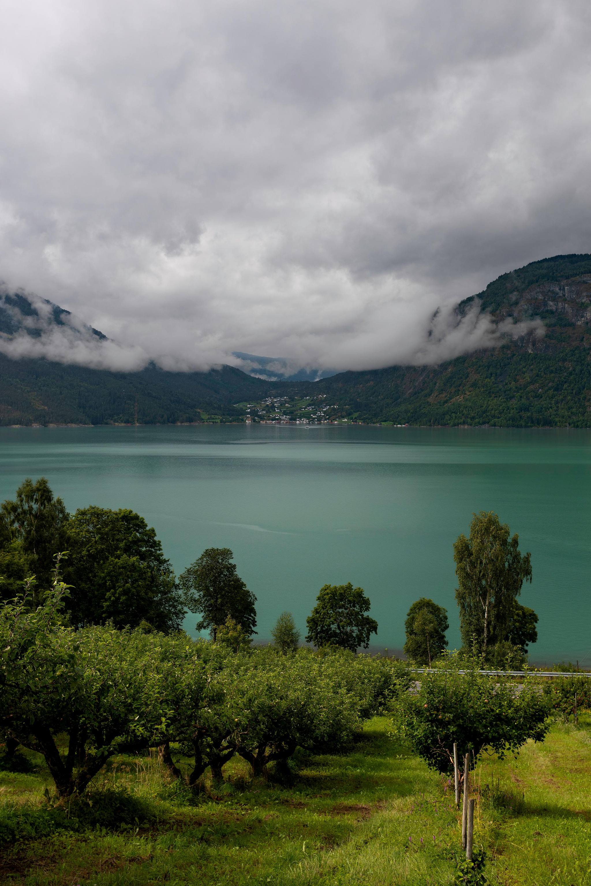 Fjord encadré de montagnes et de végétation.
