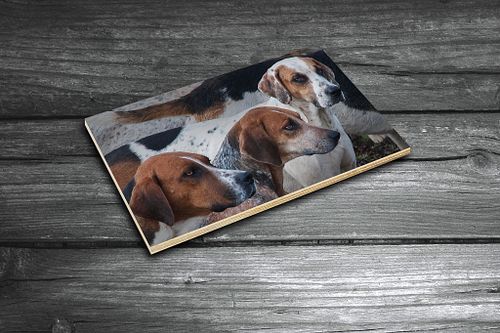 Wooden Photo Panels