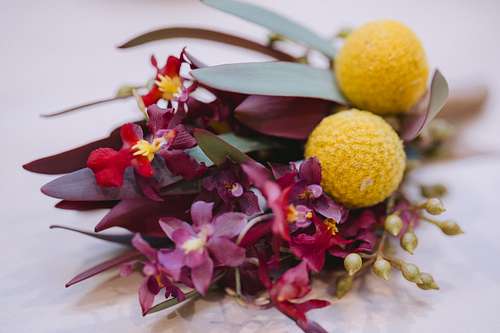 Bride and Groom Getting Ready