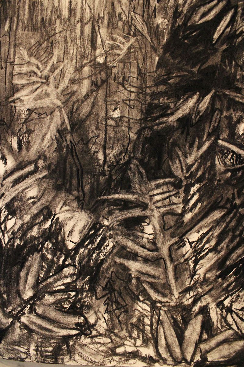 along our path: spring