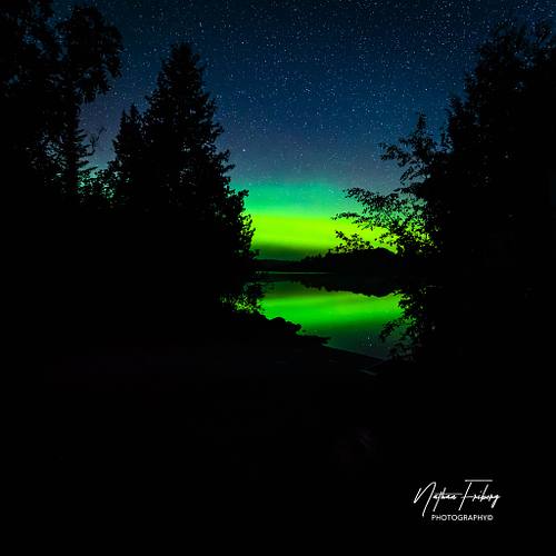A Night of Light